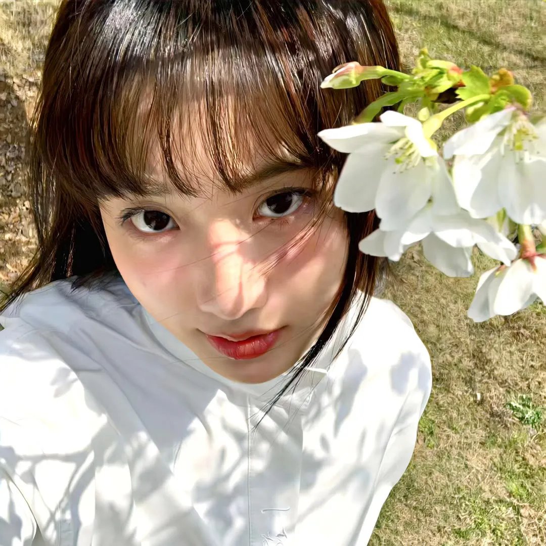新青春梦里人